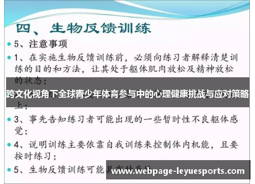跨文化视角下全球青少年体育参与中的心理健康挑战与应对策略