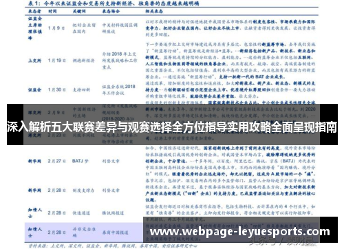 深入解析五大联赛差异与观赛选择全方位指导实用攻略全面呈现指南