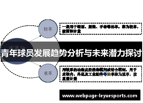 青年球员发展趋势分析与未来潜力探讨