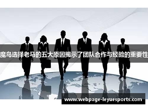 魔鸟选择老马的五大原因揭示了团队合作与经验的重要性