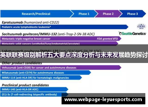 英联联赛级别解析五大要点深度分析与未来发展趋势探讨