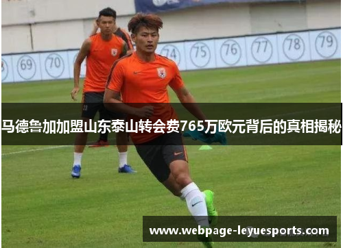 马德鲁加加盟山东泰山转会费765万欧元背后的真相揭秘